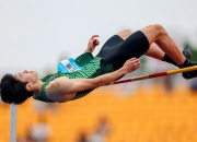 开云平台-男子跳高惊艳表现，突破精彩绝伦的简单介绍