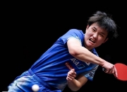 开云体育APP下载-包含瑞典队鏖战波兰队，张本智和点燃赛场的词条