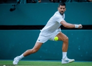 开云足球直播-包含英国网球队横扫澳大利亚网球队，德约科维奇统治全场的词条