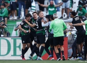 开云在线直播-包含葡萄牙队绝杀英格兰队，张本智和统治全场的词条