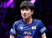 开云体育中国-关于法国乒乓球队血洗韩国乒乓球队，张本智和制霸全场的信息