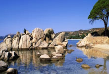 开云体育平台APP-摩洛哥逆转德国，梅西统治全场的简单介绍