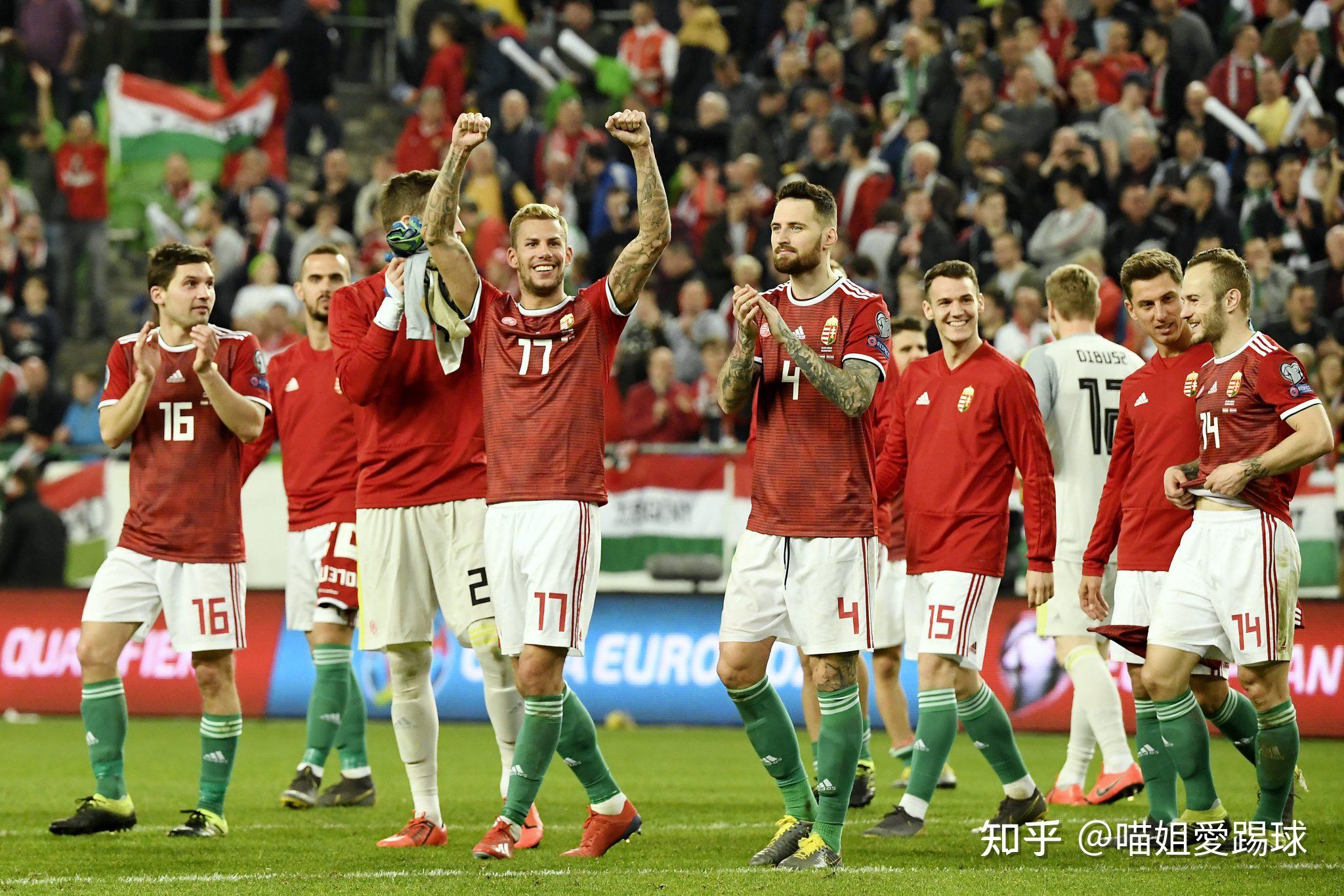 爱尔兰主场告捷，小组排名逐渐上升的简单介绍