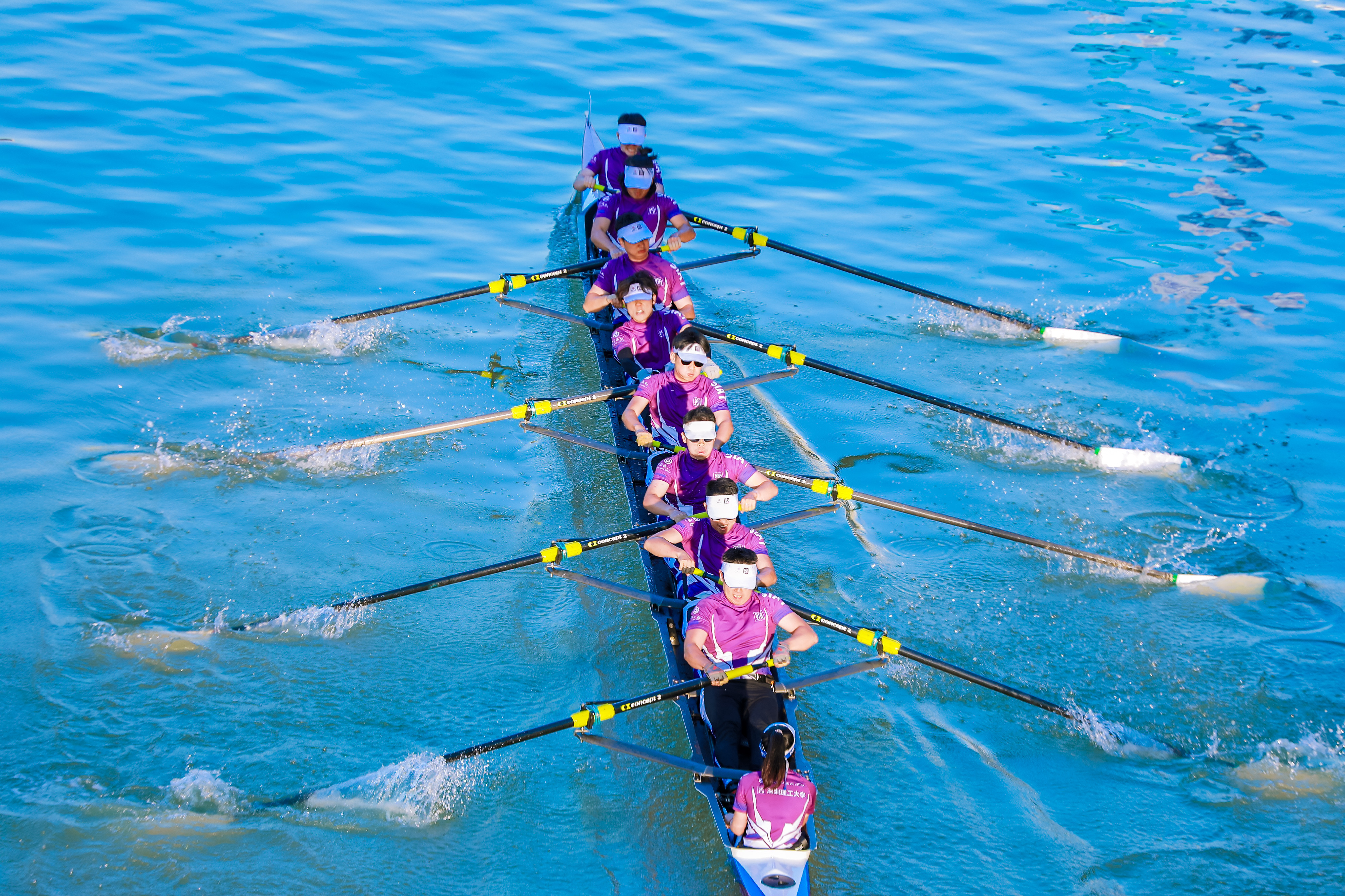 赛艇队员在比赛中展现团队合作力量夺冠