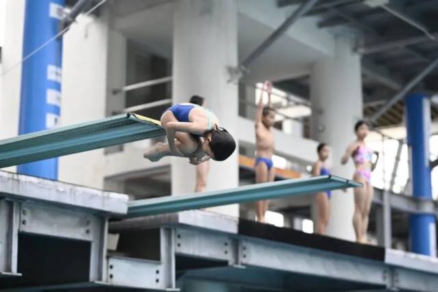 跳水精彩表演展现,舞动神话 跳水精彩表演展现,舞动神话