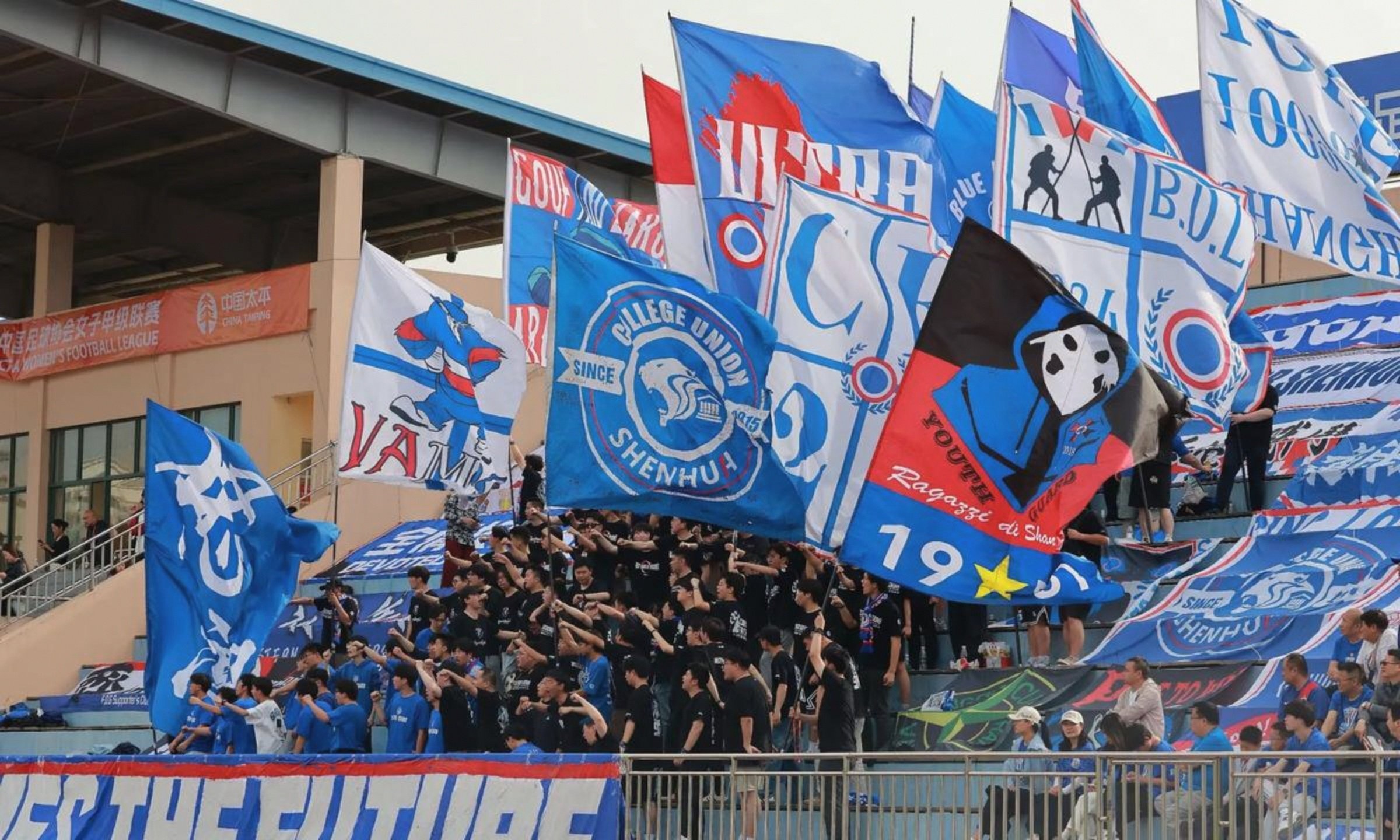 申花主场失利，球迷情绪低迷的简单介绍