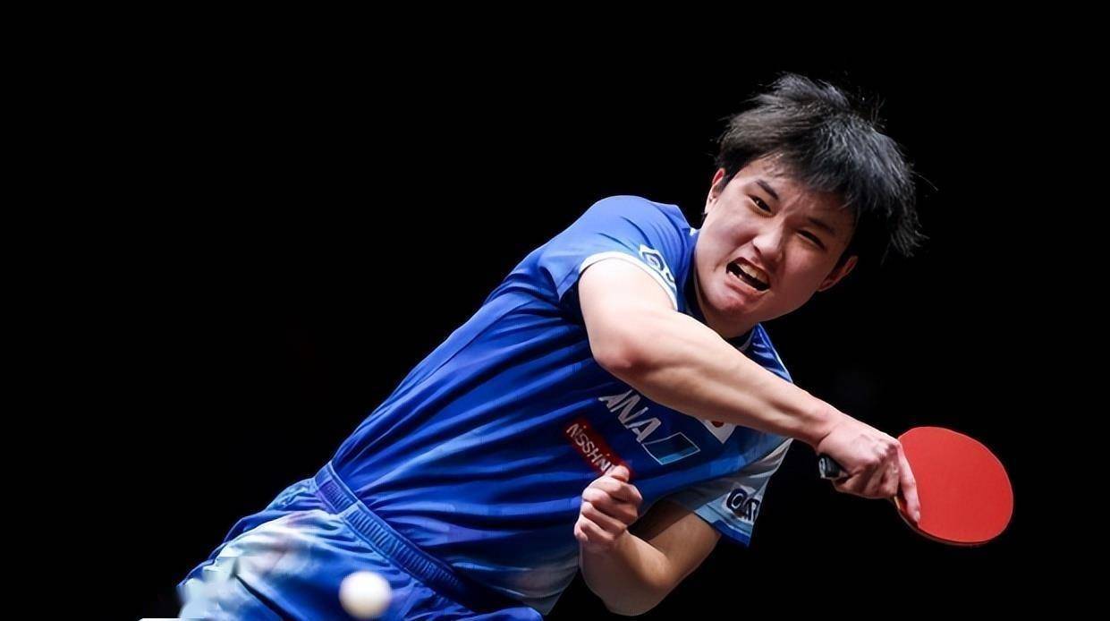 包含瑞典队鏖战波兰队，张本智和点燃赛场的词条