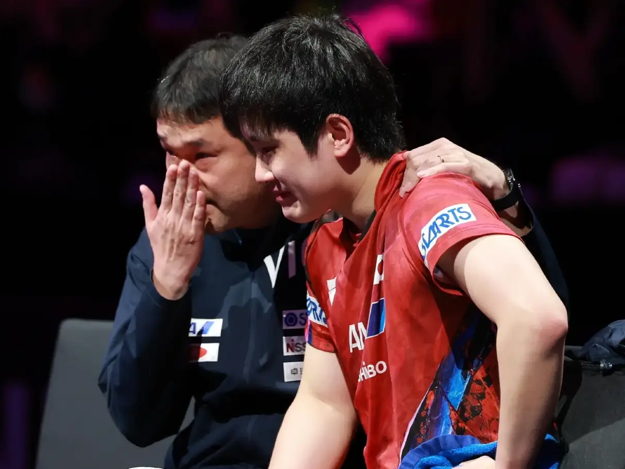 波兰队轻取日本队，张本智和状态火热的简单介绍