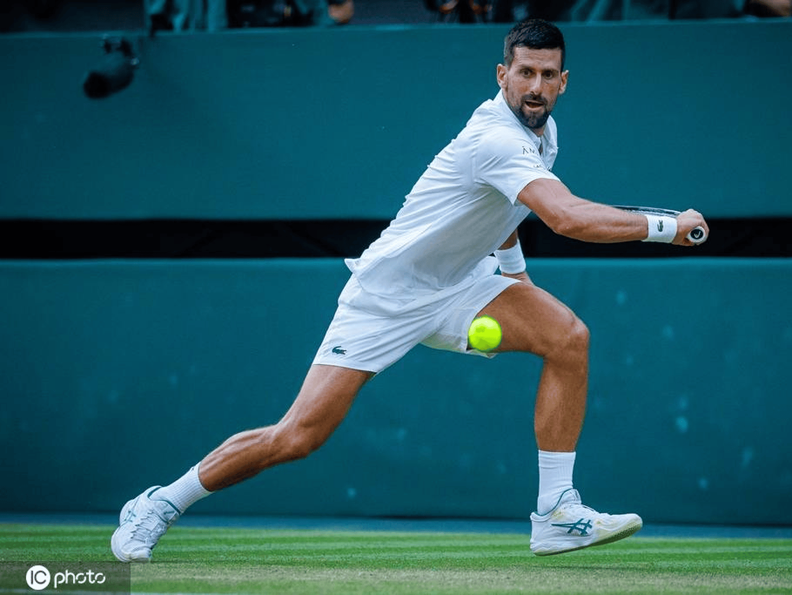 包含英国网球队横扫澳大利亚网球队，德约科维奇统治全场的词条